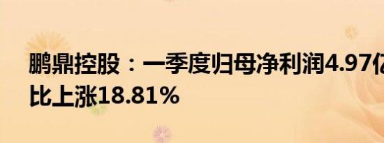 鹏鼎控股：一季度归母净利润4.97亿元，同比上涨18.81%