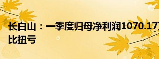 长白山：一季度归母净利润1070.17万元，同比扭亏