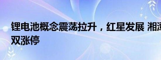 锂电池概念震荡拉升，红星发展 湘潭电化双双涨停