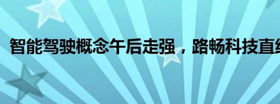 智能驾驶概念午后走强，路畅科技直线涨停