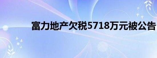 富力地产欠税5718万元被公告