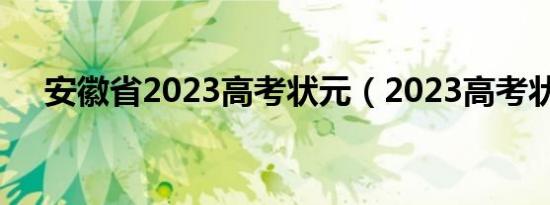 安徽省2023高考状元（2023高考状元）