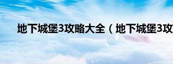 地下城堡3攻略大全（地下城堡3攻略）