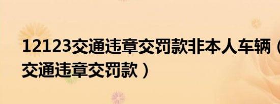 12123交通违章交罚款非本人车辆（12123交通违章交罚款）