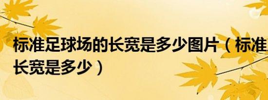 标准足球场的长宽是多少图片（标准足球场的长宽是多少）