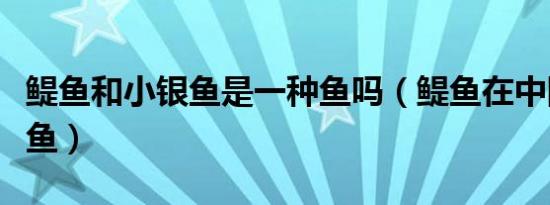 鳀鱼和小银鱼是一种鱼吗（鳀鱼在中国叫什么鱼）