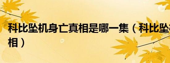 科比坠机身亡真相是哪一集（科比坠机身亡真相）