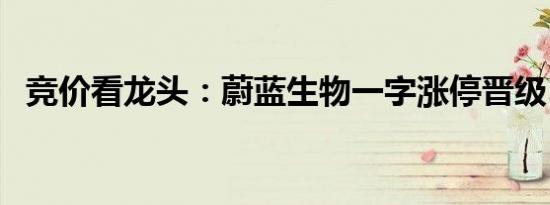 竞价看龙头：蔚蓝生物一字涨停晋级5连板