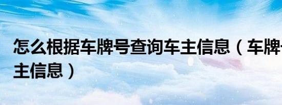 怎么根据车牌号查询车主信息（车牌号查询车主信息）