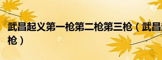 武昌起义第一枪第二枪第三枪（武昌起义第一枪）