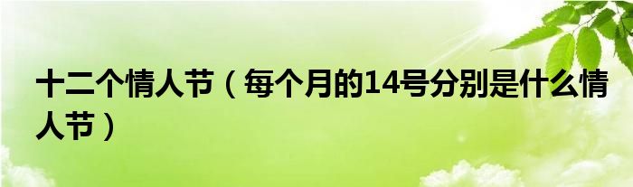 十二个情人节（每个月的14号分别是什么情人节）