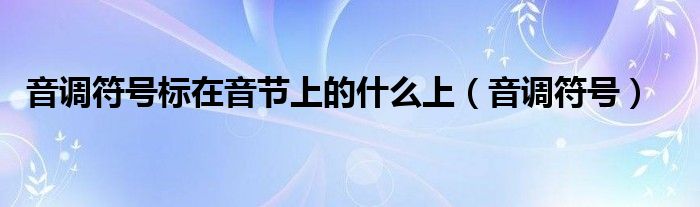 音调符号标在音节上的什么上（音调符号）