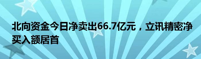 北向资金今日净卖出66.7亿元，立讯精密净买入额居首