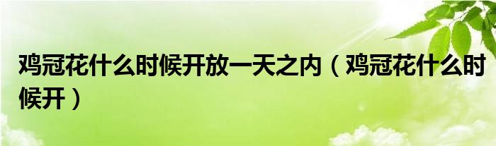 鸡冠花什么时候开放一天之内（鸡冠花什么时候开）