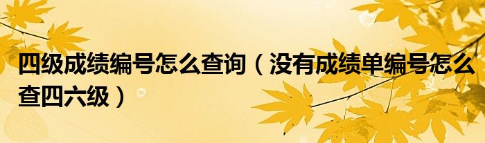 四级成绩编号怎么查询（没有成绩单编号怎么查四六级）