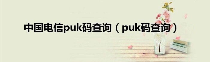 中国电信puk码查询（puk码查询）