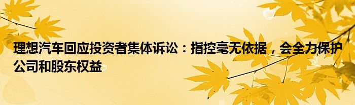 理想汽车回应投资者集体诉讼：指控毫无依据，会全力保护公司和股东权益