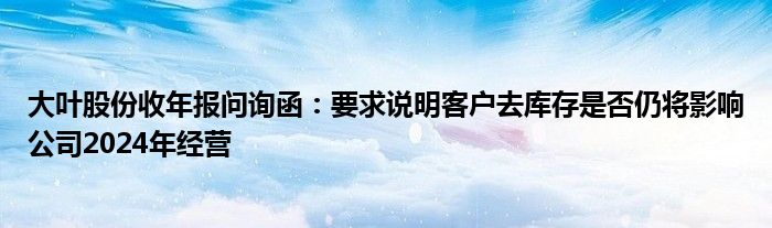 大叶股份收年报问询函：要求说明客户去库存是否仍将影响公司2024年经营