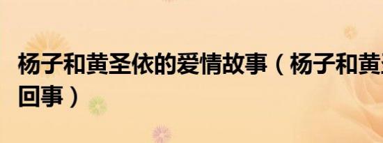 杨子和黄圣依的爱情故事（杨子和黄圣依怎么回事）