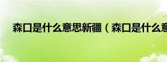 森口是什么意思新疆（森口是什么意思）