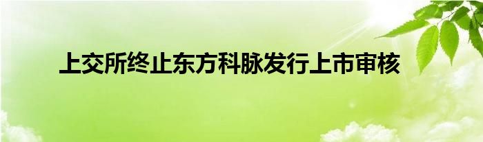 上交所终止东方科脉发行上市审核