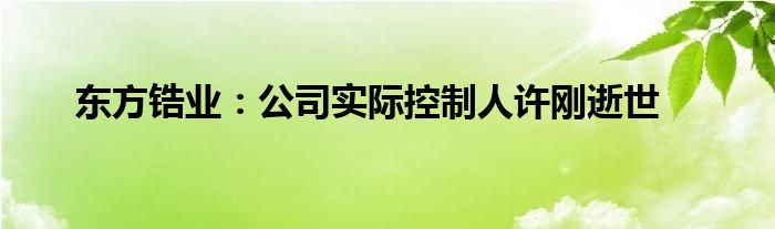 东方锆业：公司实际控制人许刚逝世