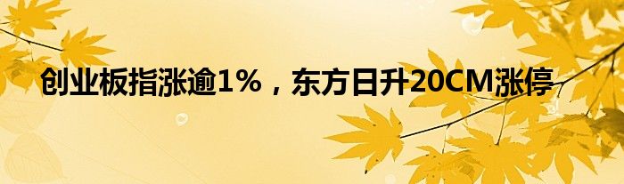 创业板指涨逾1%，东方日升20CM涨停