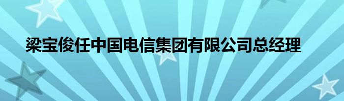 梁宝俊任中国电信集团有限公司总经理