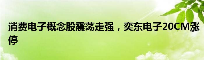 消费电子概念股震荡走强，奕东电子20CM涨停