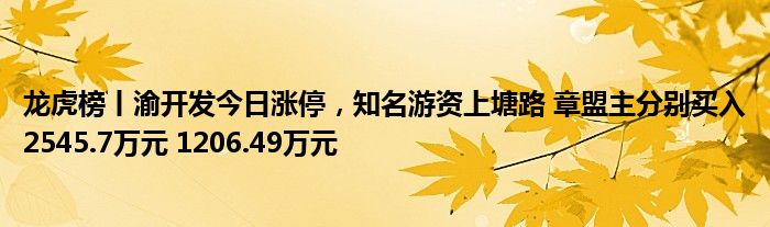 龙虎榜丨渝开发今日涨停，知名游资上塘路 章盟主分别买入2545.7万元 1206.49万元