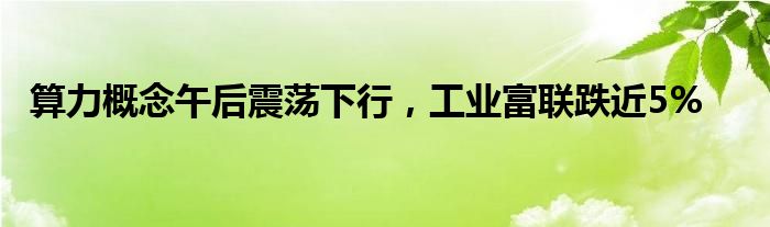 算力概念午后震荡下行，工业富联跌近5%