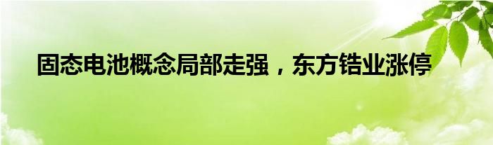 固态电池概念局部走强，东方锆业涨停