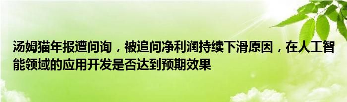 汤姆猫年报遭问询，被追问净利润持续下滑原因，在人工智能领域的应用开发是否达到预期效果