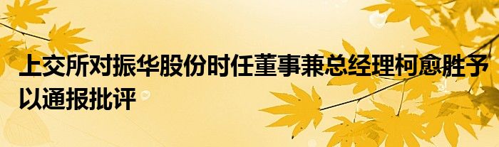 上交所对振华股份时任董事兼总经理柯愈胜予以通报批评