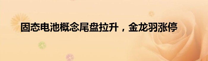 固态电池概念尾盘拉升，金龙羽涨停