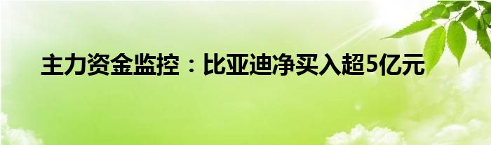 主力资金监控：比亚迪净买入超5亿元