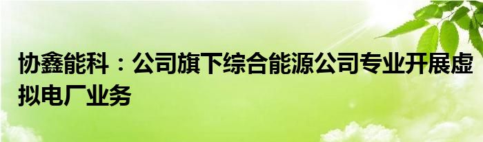 协鑫能科：公司旗下综合能源公司专业开展虚拟电厂业务