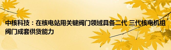 中核科技：在核电站用关键阀门领域具备二代 三代核电机组阀门成套供货能力