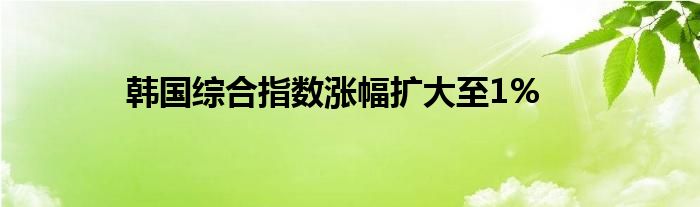 韩国综合指数涨幅扩大至1%