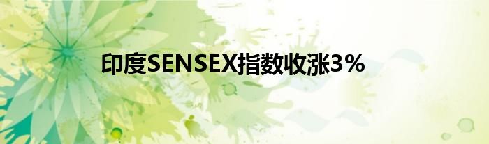 印度SENSEX指数收涨3%