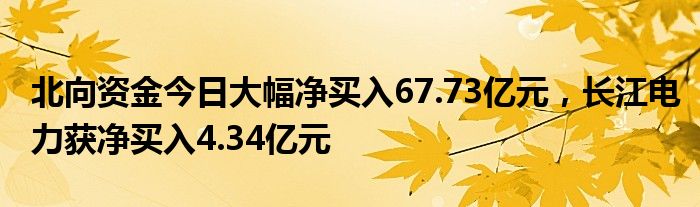 北向资金今日大幅净买入67.73亿元，长江电力获净买入4.34亿元