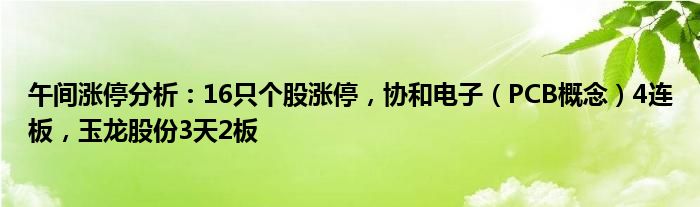 午间涨停分析：16只个股涨停，协和电子（PCB概念）4连板，玉龙股份3天2板