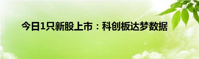 今日1只新股上市：科创板达梦数据