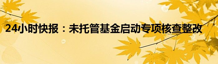 24小时快报：未托管基金启动专项核查整改