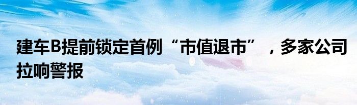 建车B提前锁定首例“市值退市”，多家公司拉响警报