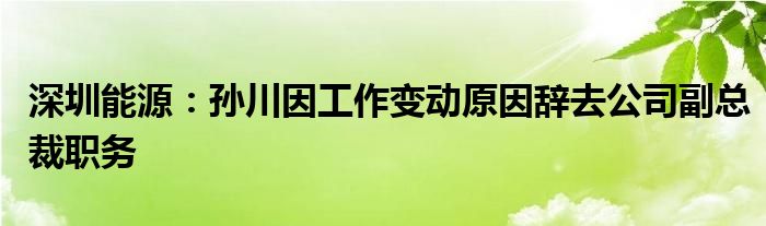 深圳能源：孙川因工作变动原因辞去公司副总裁职务