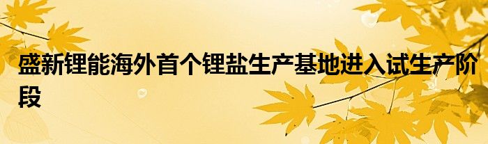 盛新锂能海外首个锂盐生产基地进入试生产阶段