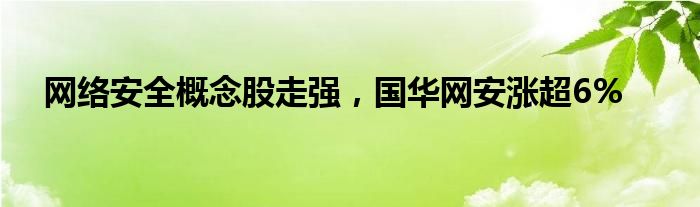 网络安全概念股走强，国华网安涨超6%