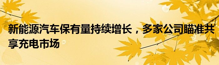 新能源汽车保有量持续增长，多家公司瞄准共享充电市场