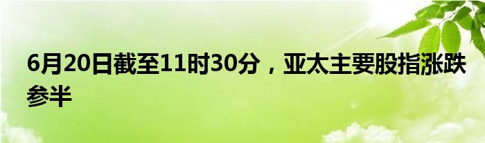 6月20日截至11时30分，亚太主要股指涨跌参半